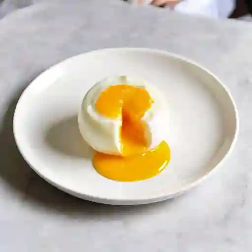 Huevo / egg