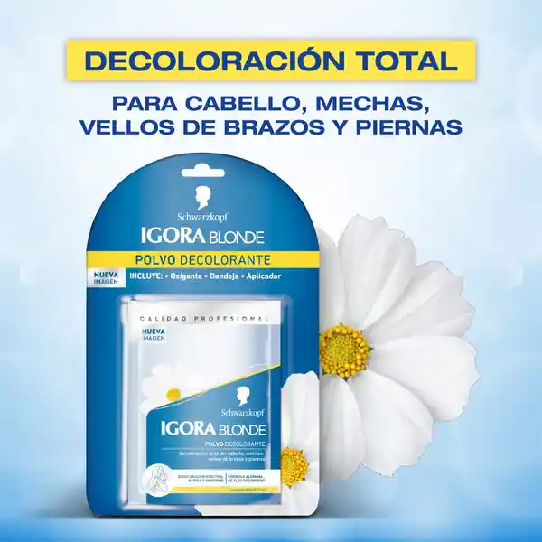 Polvo Igora Vital Decolorante Blonde (20 Gr)