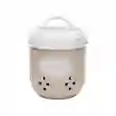 Contenedor Ajo Diseño 0001 Casaideas