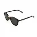 Gafas Para Hombre Color Marrón X17139 Steve Madden