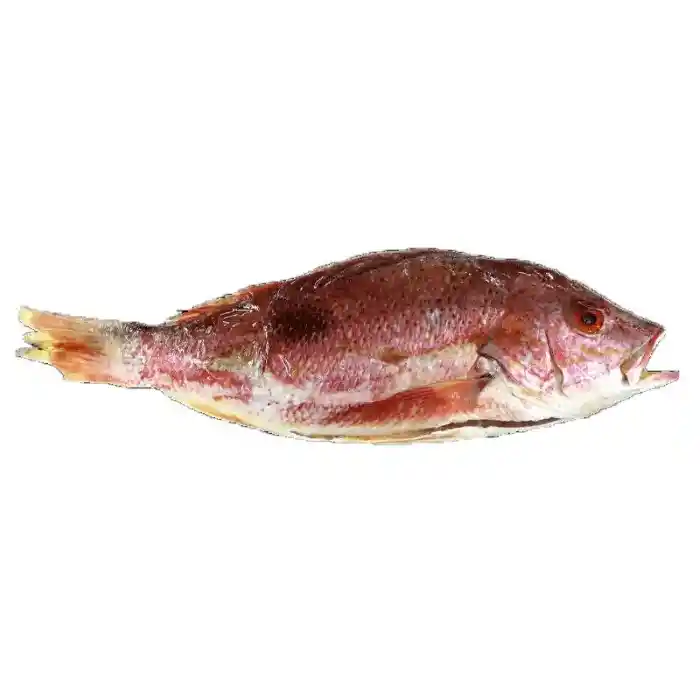 Pescado Pargo Grande