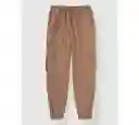 Pantalón Jogger Aerie Café Talla LG Regular American Eagle