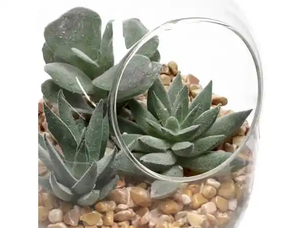 Maceta Cactus Vidrio Canasta Casaideas