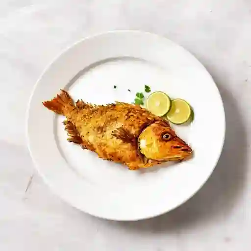 Mojarra Roja