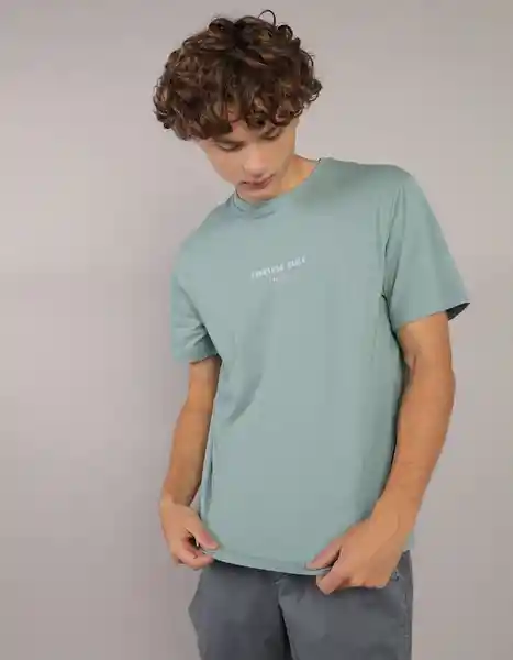 Camiseta Hombre Azul Talla MEDIUM 4290395 American Eagle