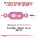 Royal Canin Feline Health Nutrition Dry Kitten 10Kg