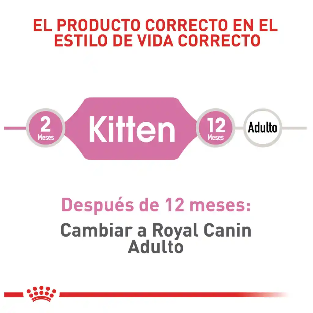 Royal Canin Feline Health Nutrition Dry Kitten 10Kg