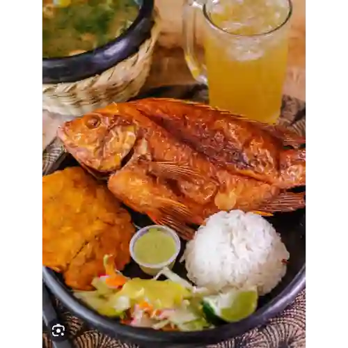 Tilapia Frita