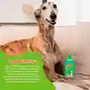 Petys Shampoo para Perro Limpieza y Suavidad