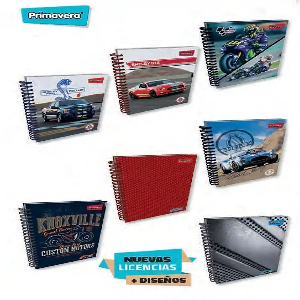 Primavera Cuaderno 5 Materias 105 Cuadros Hombre 12 Gr