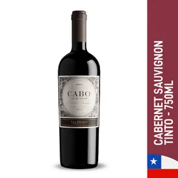 Cabo de Hornos Vino Tinto Cabernet Sauvignon Botella de 750 ml