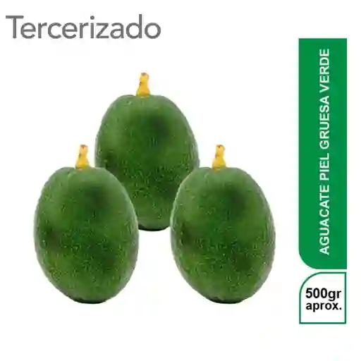 3 x Aguacate Piel Gruesa Verde Turbo