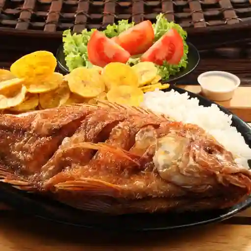 Mojarra Frita