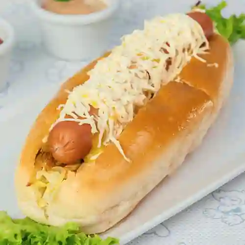 Perro Sencillo