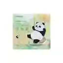 Pañuelo de Panda de China Miniso