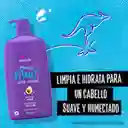Aussie Shampoo Miracle Moist Huile de Jojoba