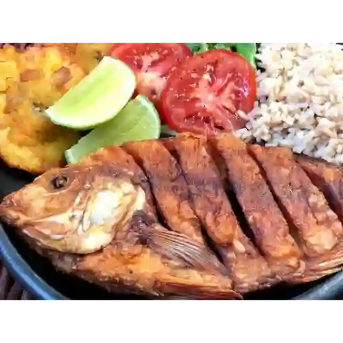 Mojarra Roja