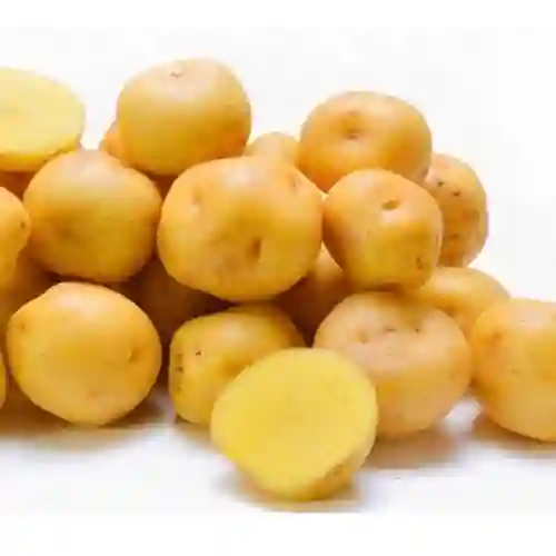 Papa Criolla