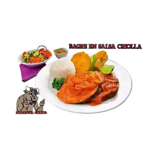 Bagre en Salsa Criolla