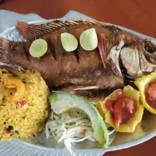 Bandeja Playera