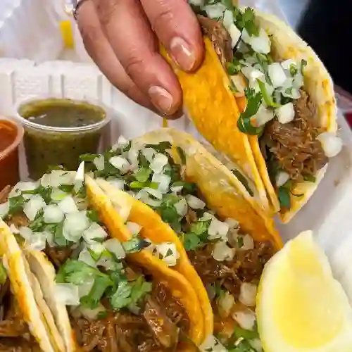 Tacos de Birria X3