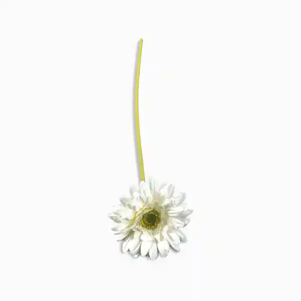 Gerbera Blanca 47 cm Ambiente Gourmet