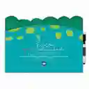 Libro Borrable Koco Grafomotricidad