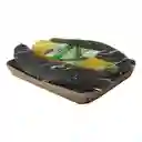 Zucchini