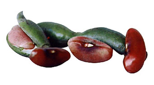 Baluy 500 g