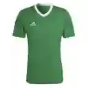 Adidas Camiseta Ent22 Jsy Verde Hombre Talla M Ref : HI2123