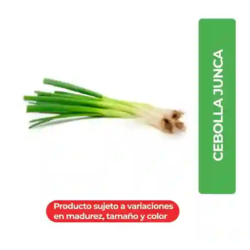 Cebolla Larga