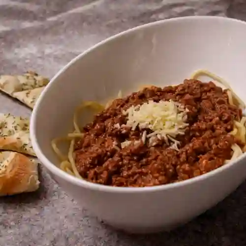 Bolognesa