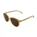 Gafas Para Hombre Color Café X17140 Steve Madden