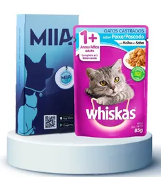 Combo Miia + Whiskas Pescado Gatos Castrados