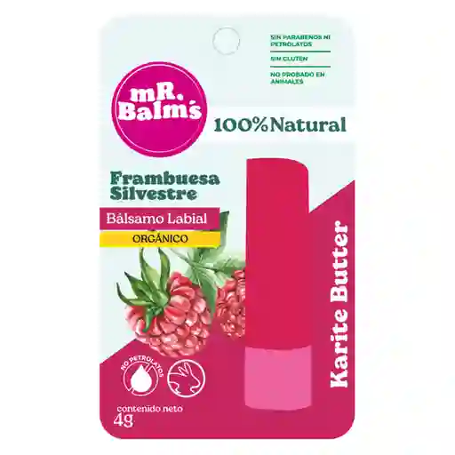 Mr. Balms Labial Bálsamo Frambuesa Silvestre