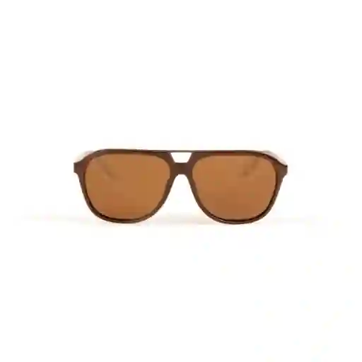 Invicta Gafas Eyewear I Marron Unisex 27122-s1r-05