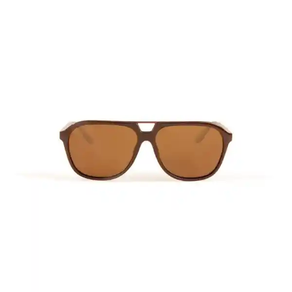 Invicta Gafas Eyewear I Marron Unisex 27122-s1r-05