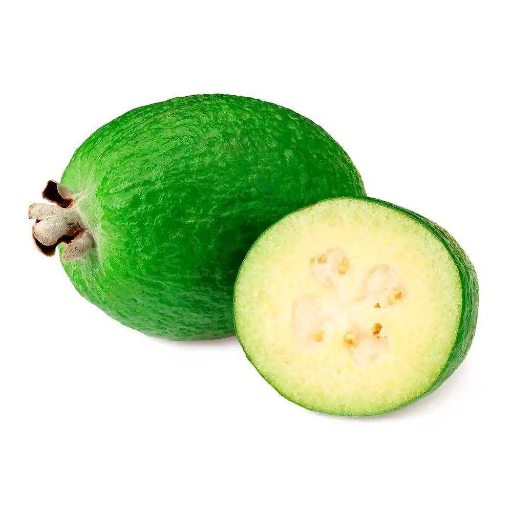 Guayaba Feijoa