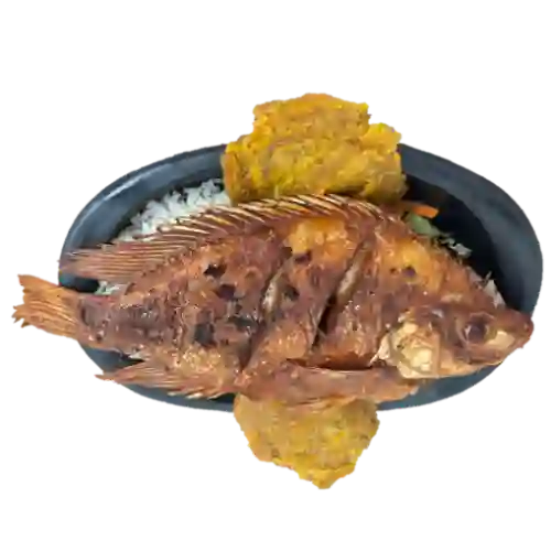 Mojarra