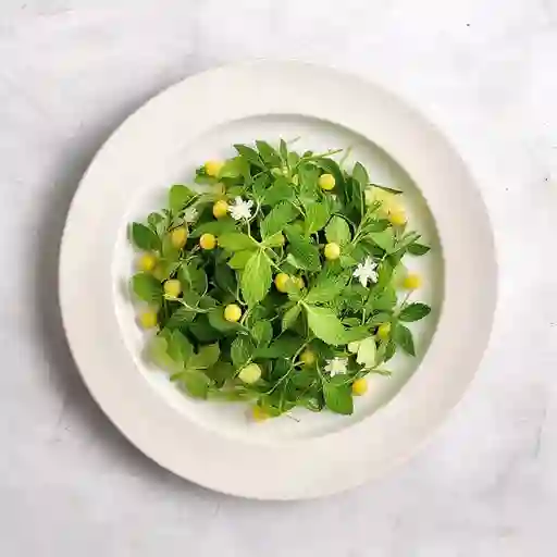 Aromaticas Simples