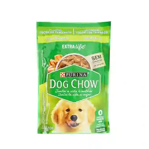 Dog Chow Cachorros T