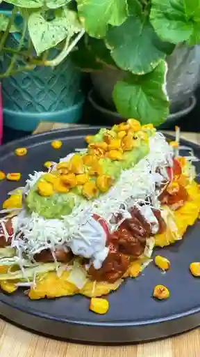 Patacón Pollo y Carne X