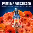 Suavizante Downy Concentrado Perfume Collection Adorable con Aroma de Larga Duración 135L