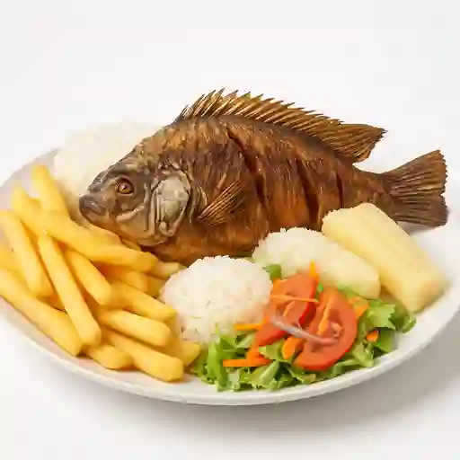 Mojarra Especial