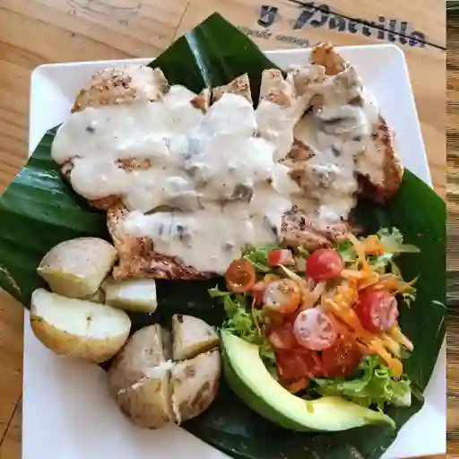 Pechuga en salsa de champiñones