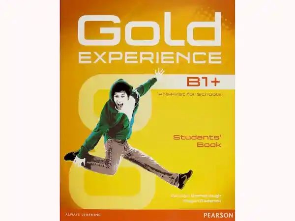 Gold Experience B1+ Dvd-Rom - Carolyn Barraclough/Megan Roderick