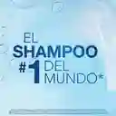 Head & Shoulders Shampoo Hidratante con Aceite de Coco 
