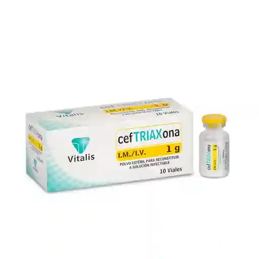 Vitalis Polvo Estéril (1 g)