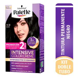 Palette Tinte Permanente Capilar Color Creme Intensive Tono 1-0 Negro