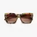 B+D Gafas Sol Bellevue Ivory Carey